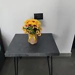 Turcoaz Apartament *