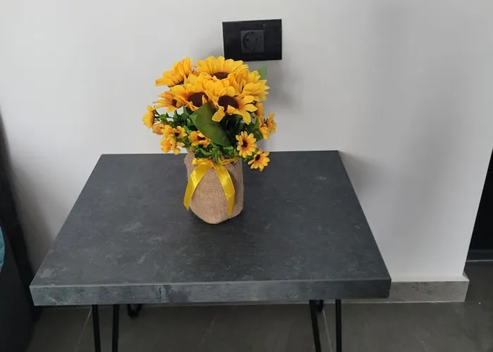 Turcoaz Appartement *